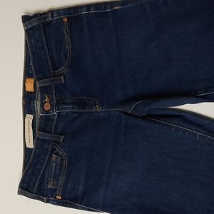 Pilcro and the Letterpress Dark Blue Ankle Jeans